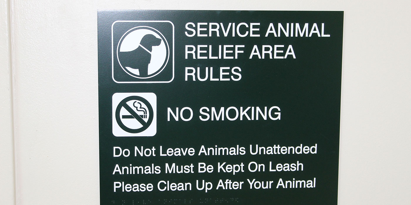 pet-relief-3